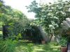 DSC01442.JPG