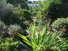 DSC01673.JPG