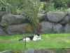 DSC01989.JPG