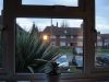 DSC00338.JPG