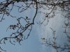 IMG_1210.JPG